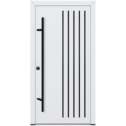 Alu-Steel Door - DL44 Black Edition