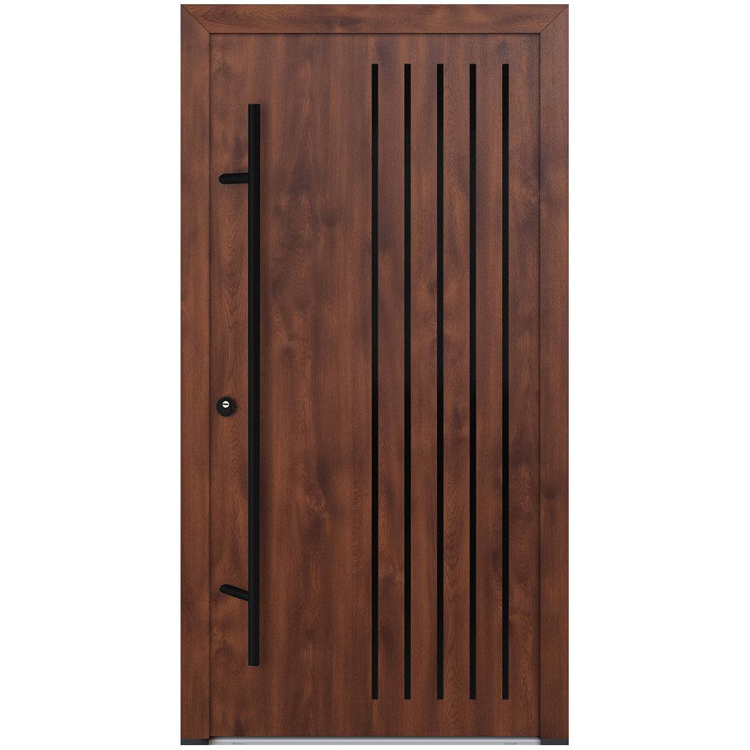 Alu-Steel Door - DL44 Black Edition