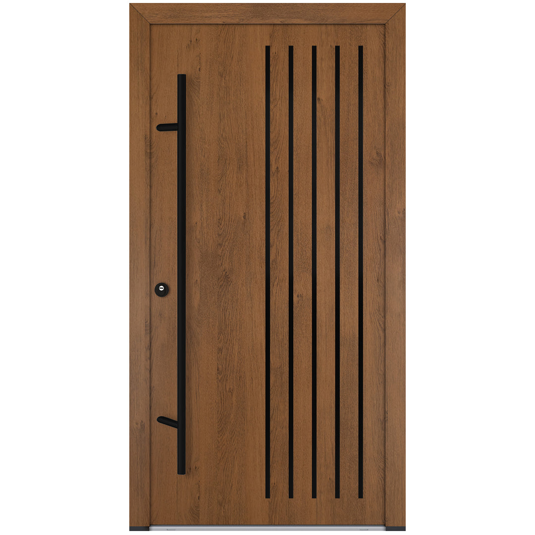 Alu-Steel Door - DL44 Black Edition