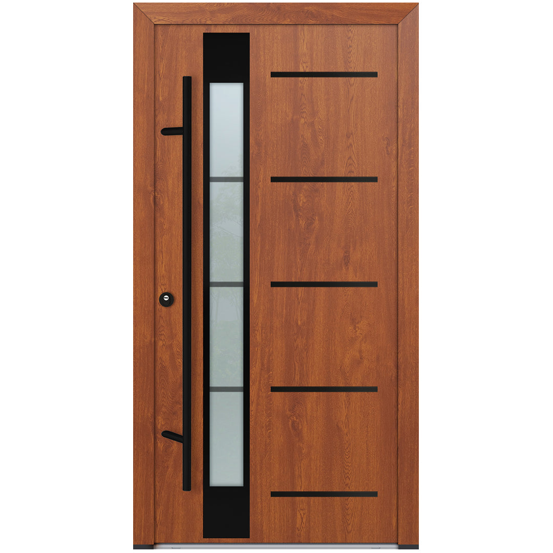 Alu-Steel Door - DL45 Black Edition