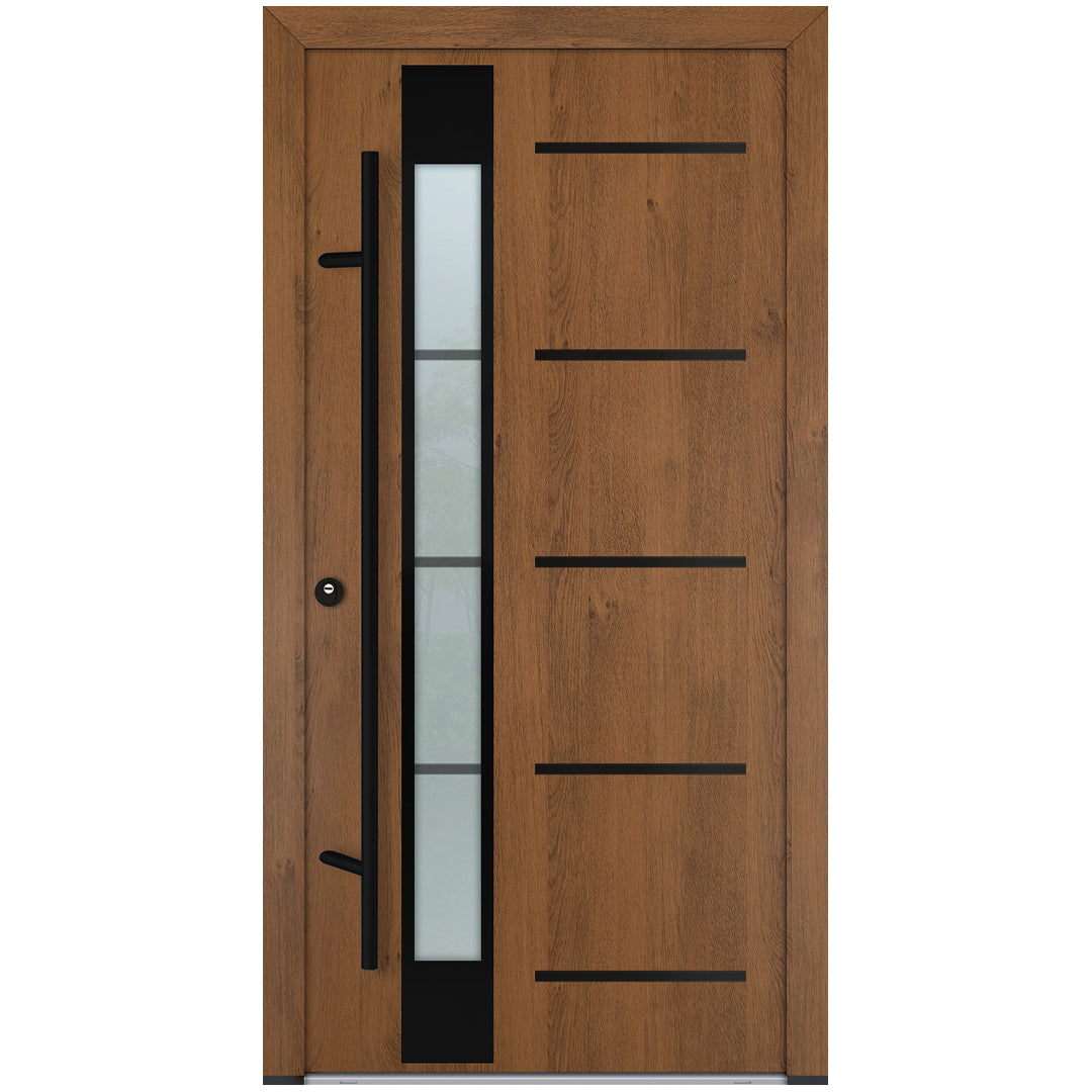 Alu-Steel Door - DL45 Black Edition