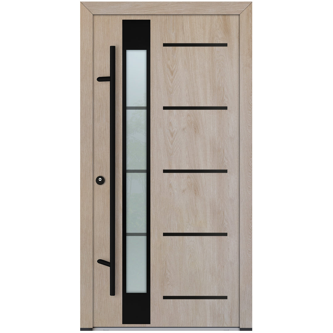Alu-Steel Door - DL45 Black Edition