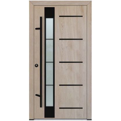 Alu-Steel Door - DL45 Black Edition