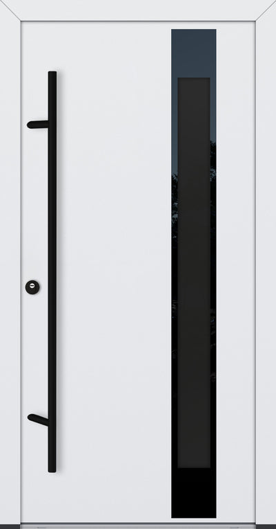 Alu-Steel Door - DLG 04B - Black Edition