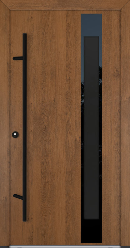 Alu-Steel Door - DLG 04B - Black Edition