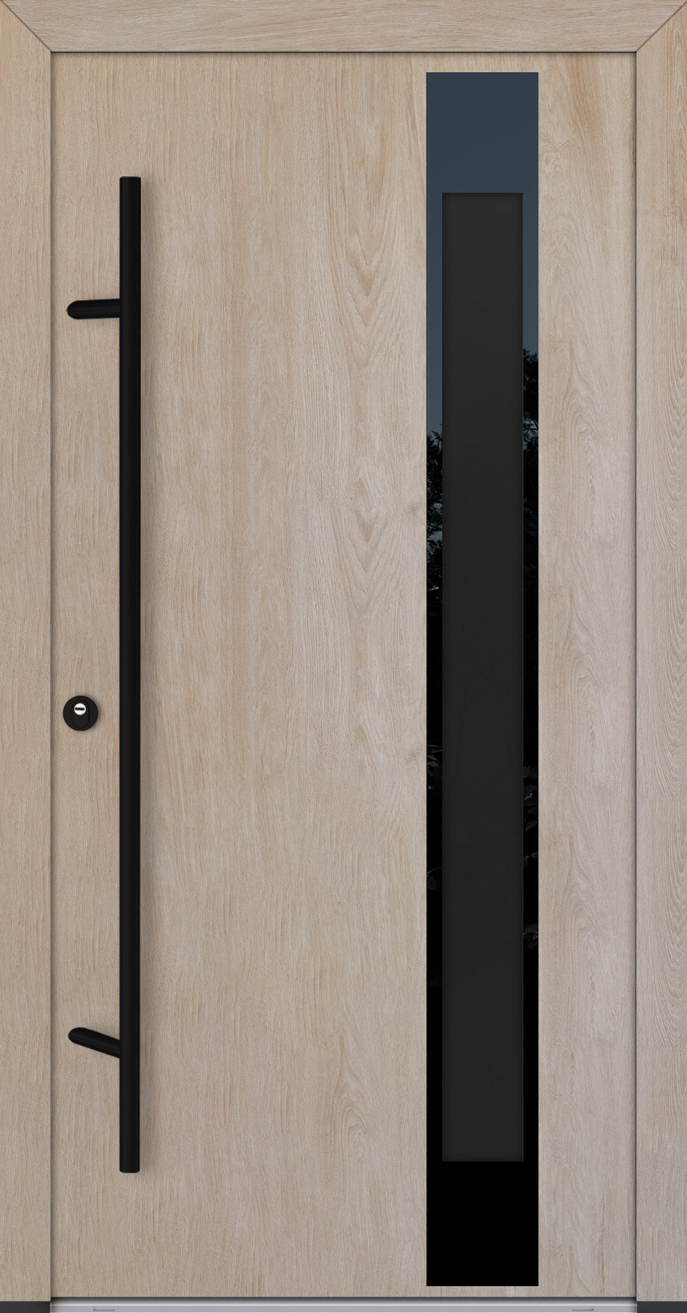 Alu-Steel Door - DLG 04B - Black Edition