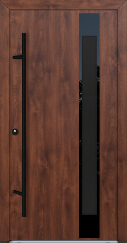 Alu-Steel Door - DLG 04B - Black Edition