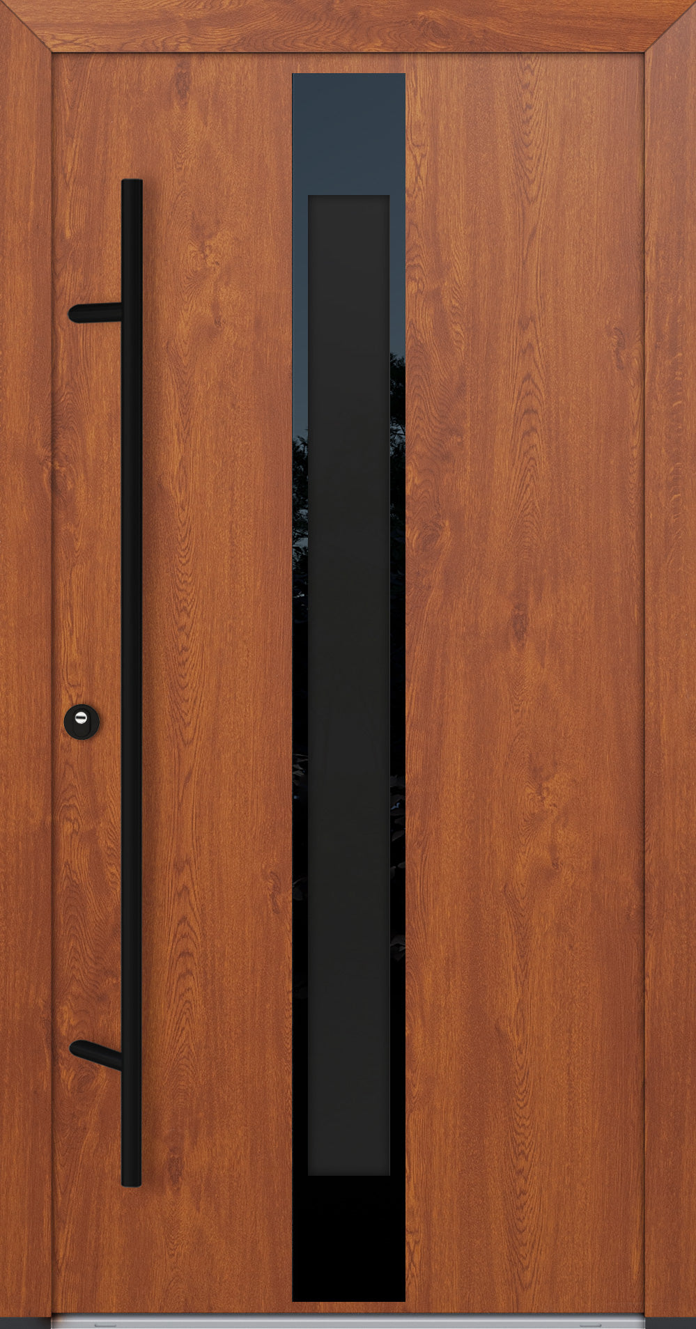 Alu-Steel Door - DLG 05B - Black Edition
