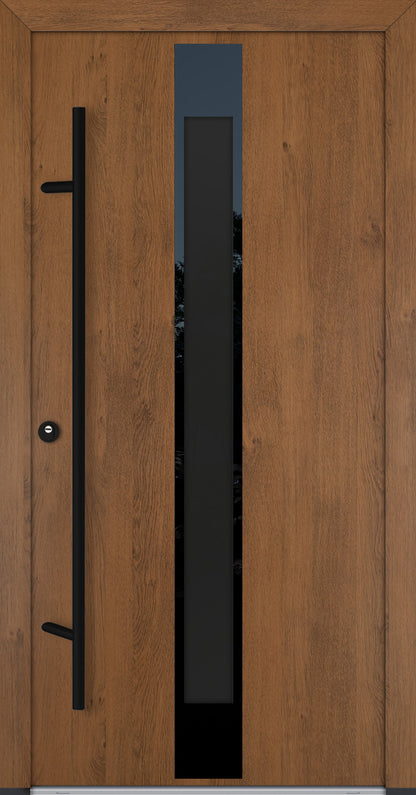 Alu-Steel Door - DLG 05B - Black Edition