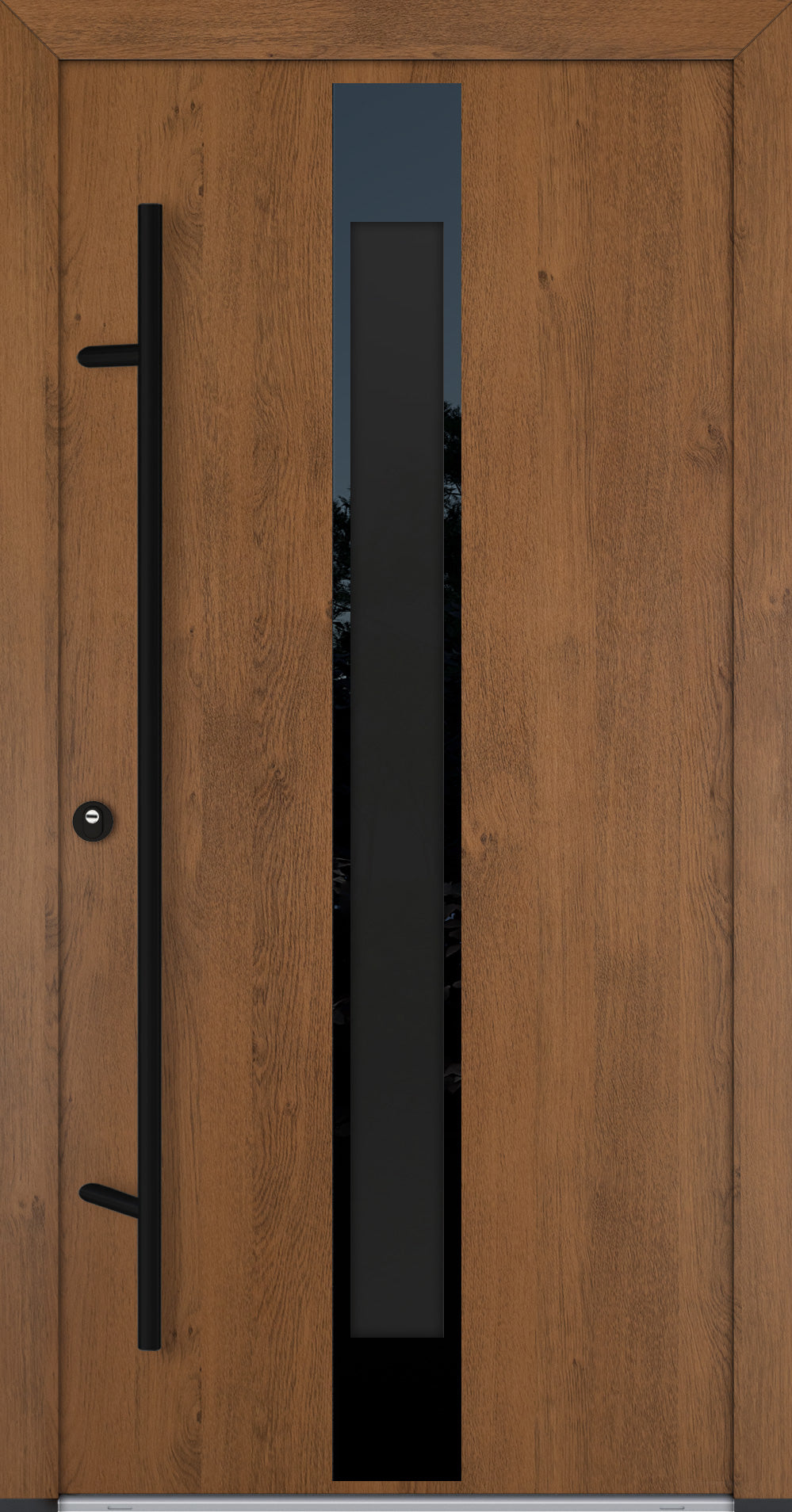 Alu-Steel Door - DLG 05B - Black Edition