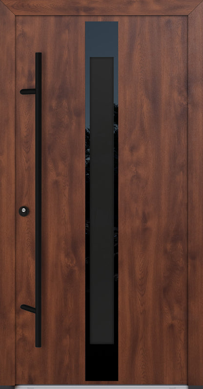 Alu-Steel Door - DLG 05B - Black Edition