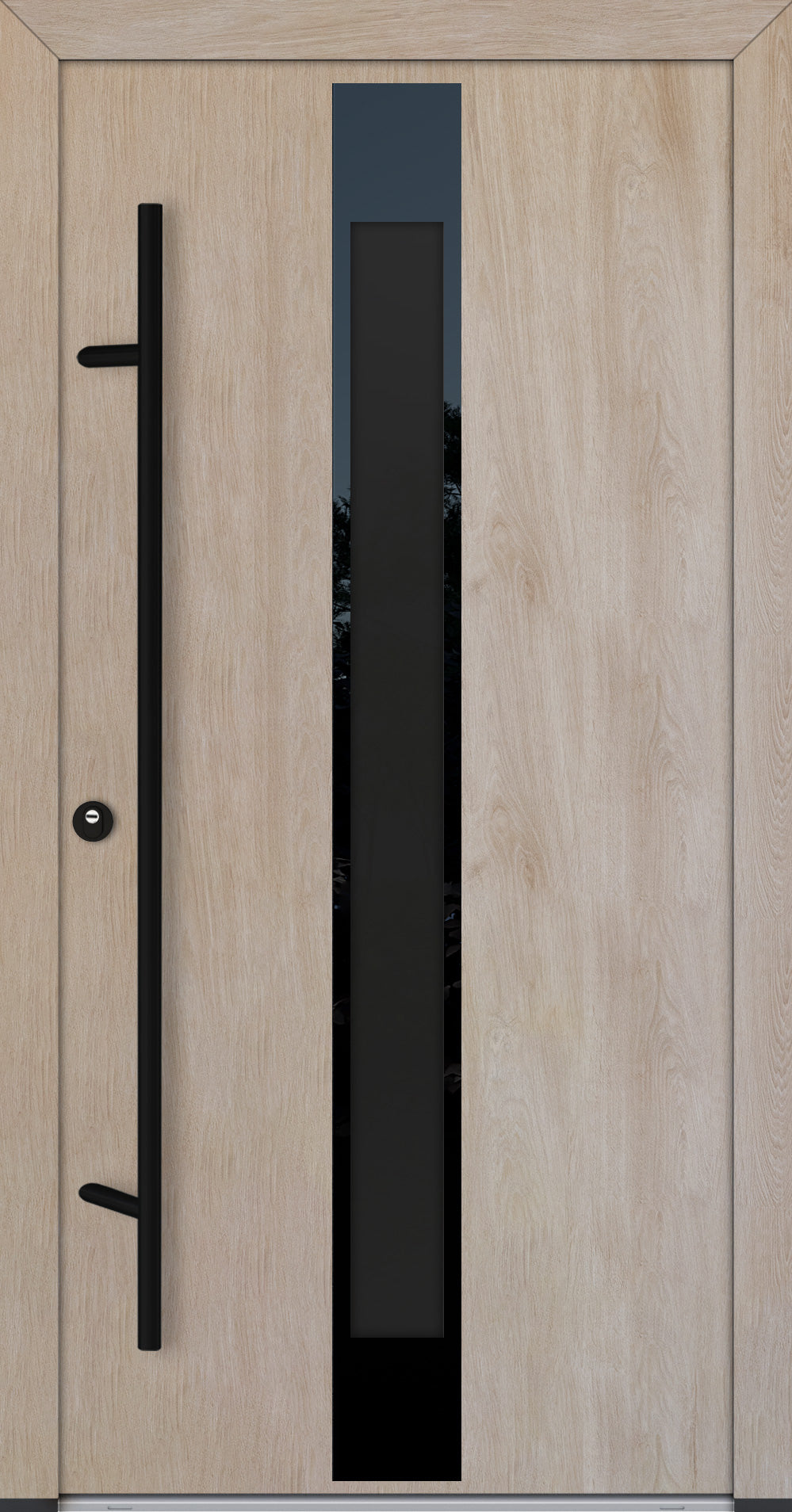 Alu-Steel Door - DLG 05B - Black Edition