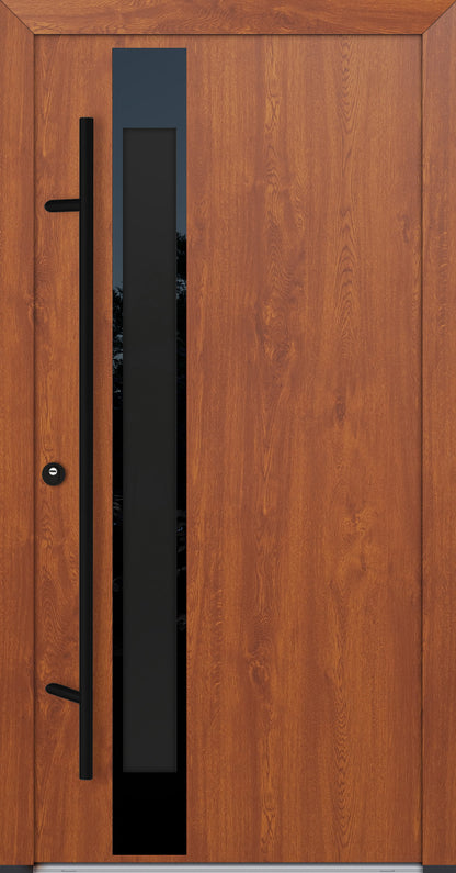 Alu-Steel Door - DLG 14B - Black Edition