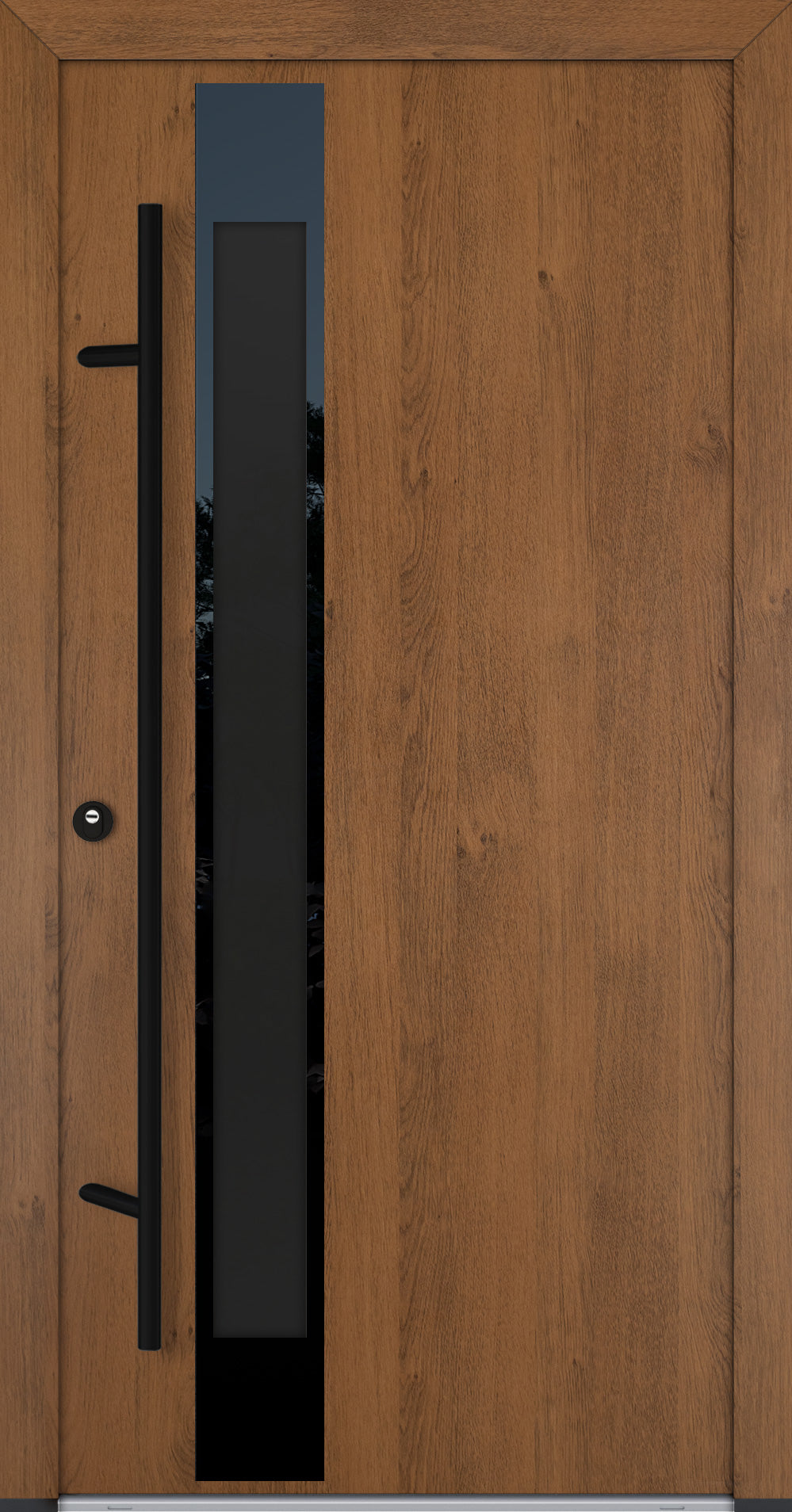 Alu-Steel Door - DLG 14B - Black Edition