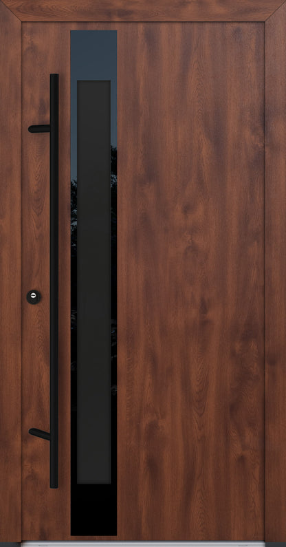 Alu-Steel Door - DLG 14B - Black Edition