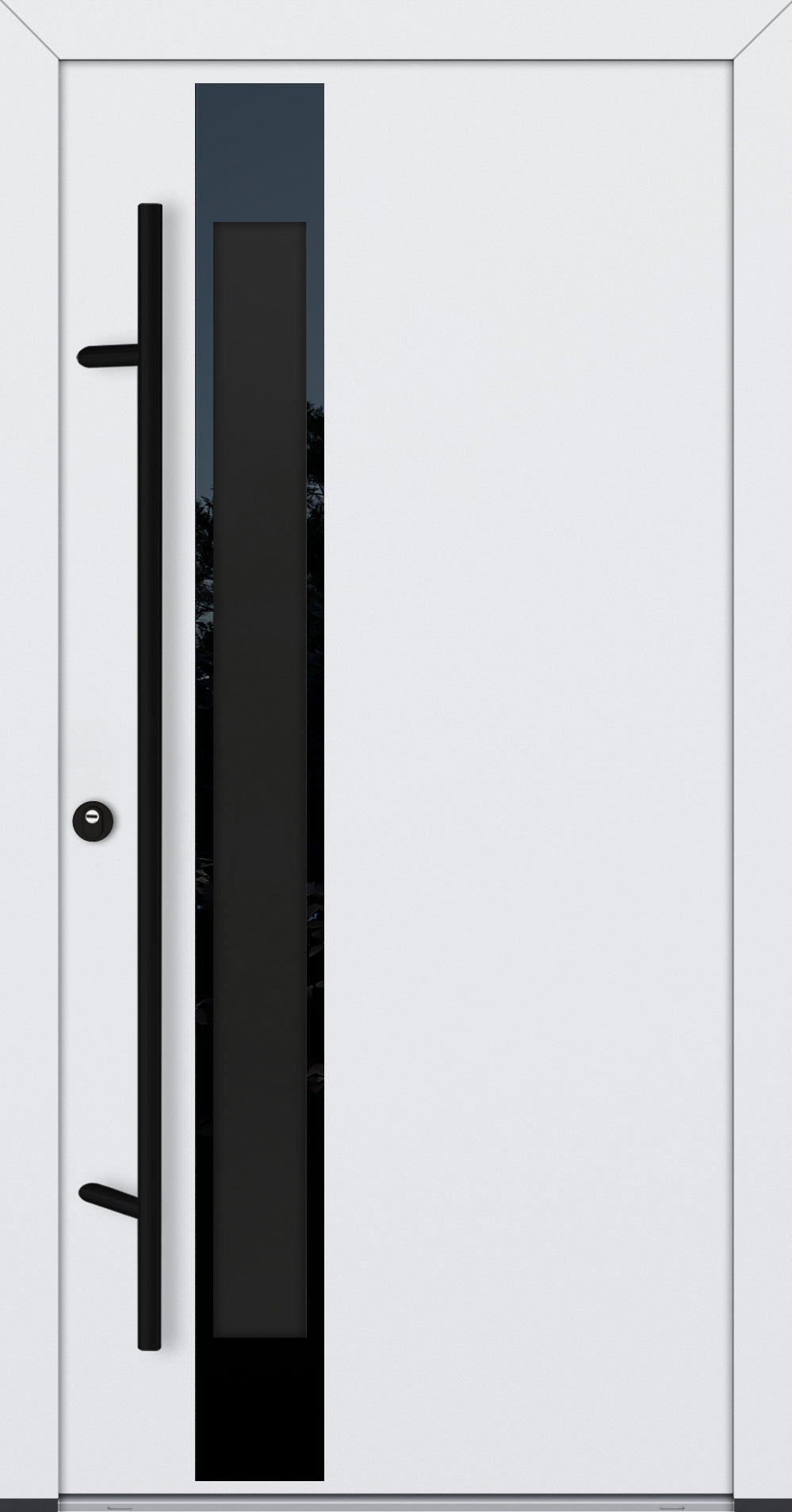 Alu-Steel Door - DLG 14B - Black Edition