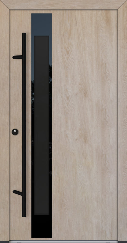 Alu-Steel Door - DLG 14B - Black Edition
