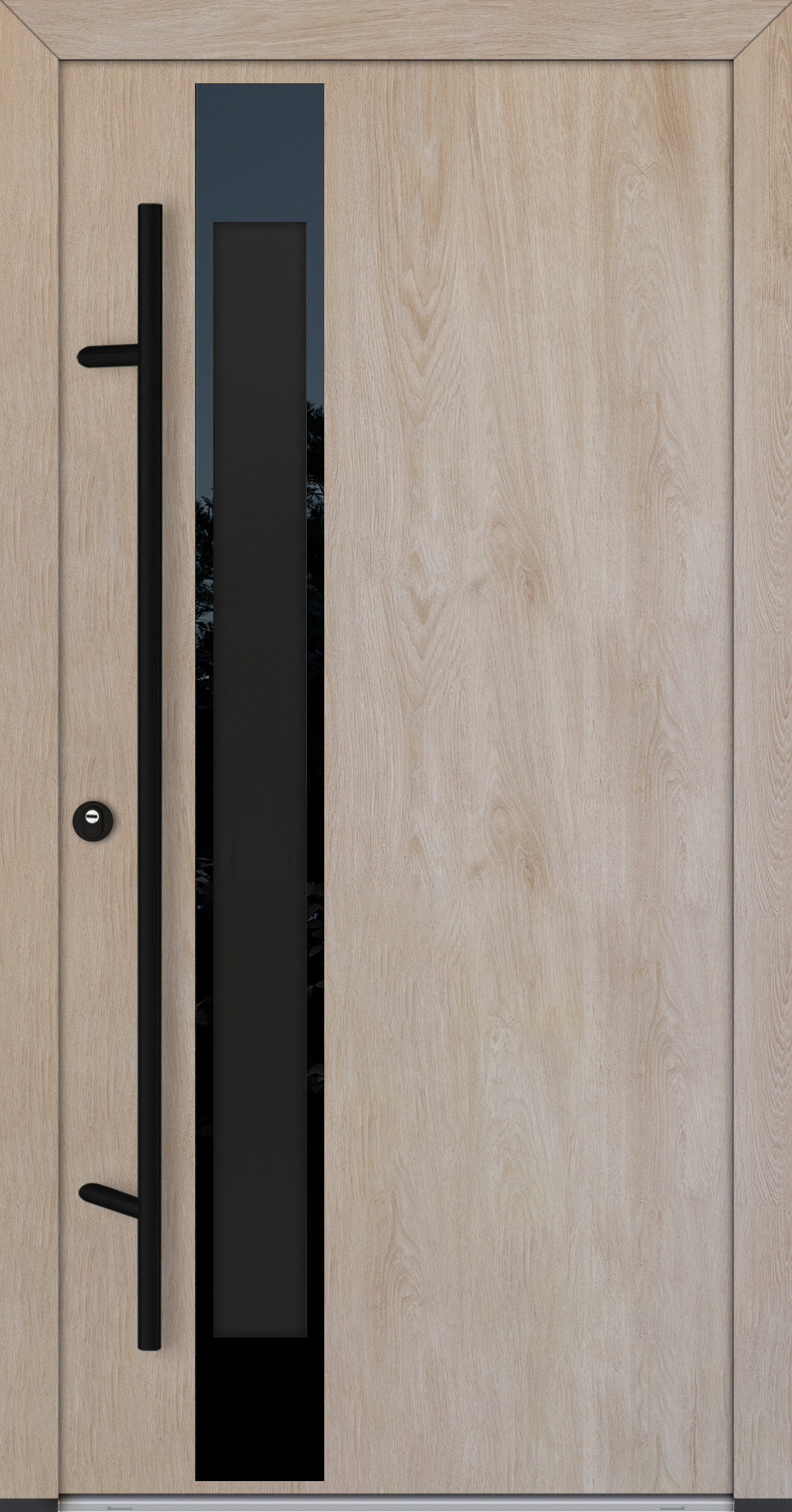 Alu-Steel Door - DLG 14B - Black Edition