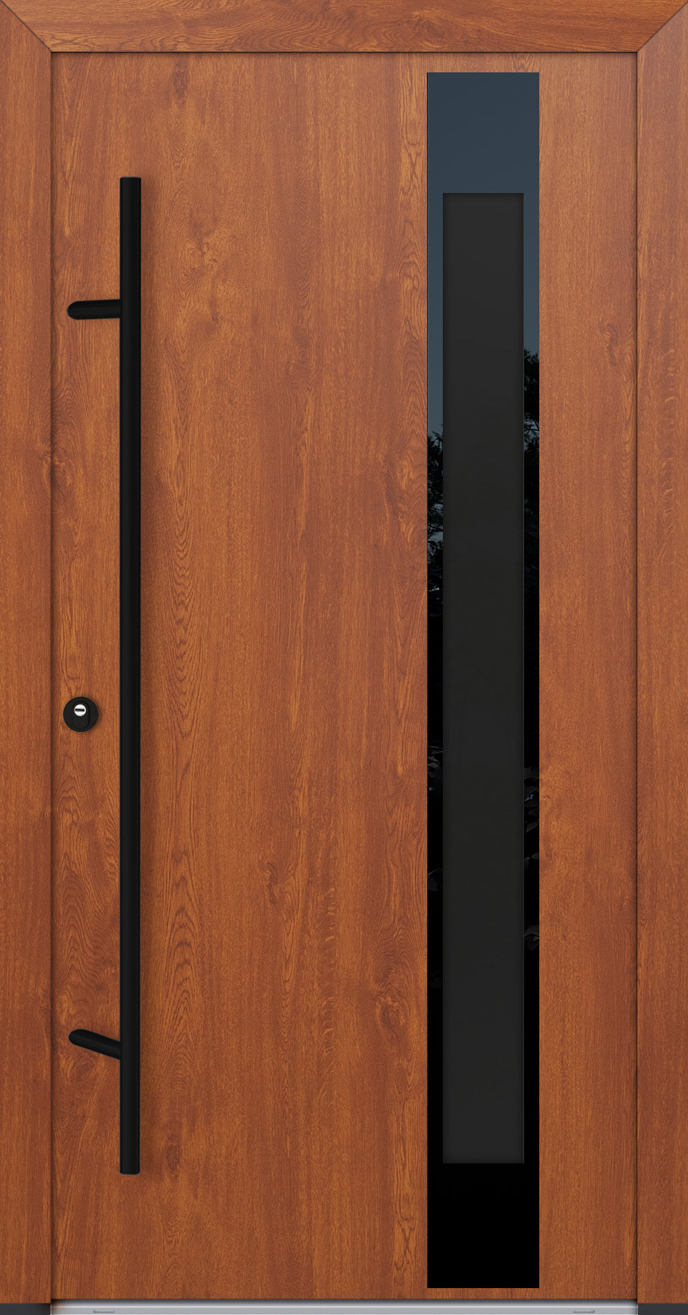 Alu-Steel Door - DLG 04B - Black Edition