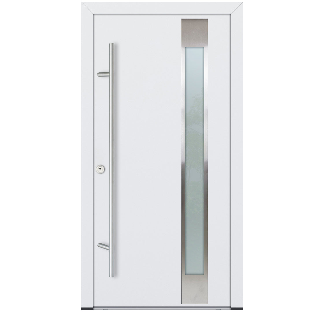 Alu-Steel Door - DL04