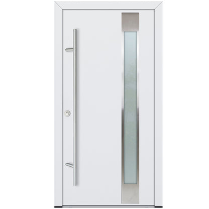 Alu-Steel Door - DL04