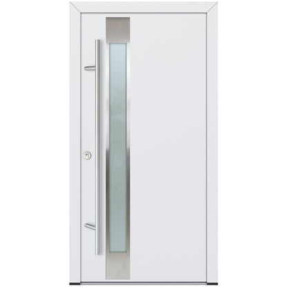 Alu-Steel Door - DL14