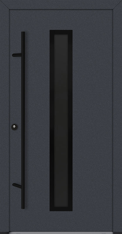 Alu-Steel Door - DL01 Black Edition