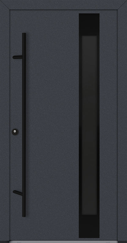 Alu-Steel Door - DL04 Black Edition