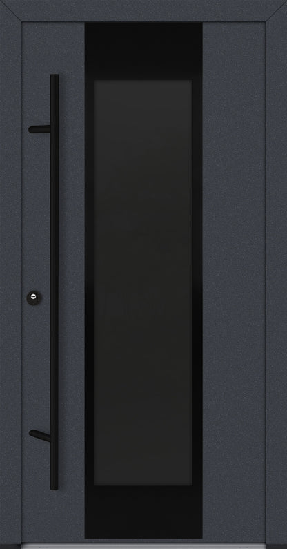 Alu-Steel Door - DL08 Black Edition