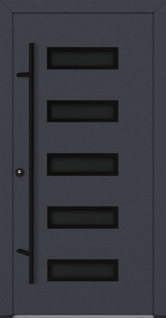 Alu-Steel Door - DL11 Black Edition