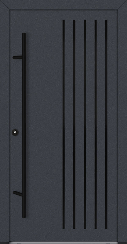 Alu-Steel Door - DL44 Black Edition
