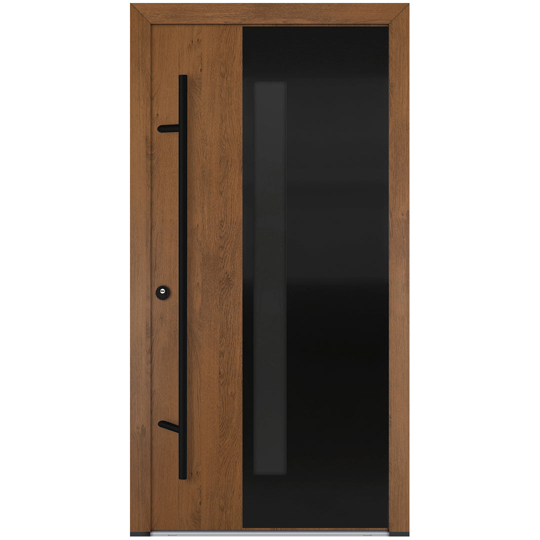 Alu-Steel Door - DL66 Black Edition