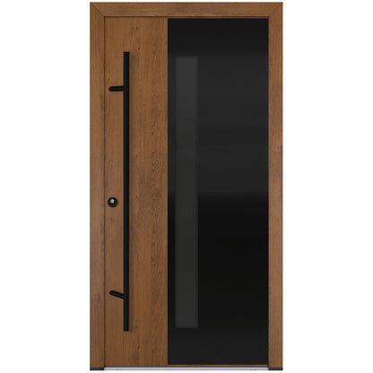 Alu-Steel Door - DL66 Black Edition