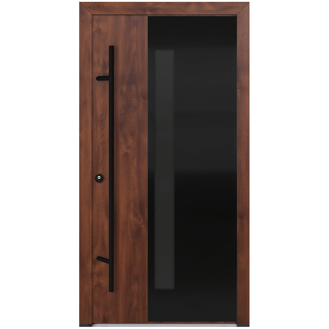 Alu-Steel Door - DL66 Black Edition