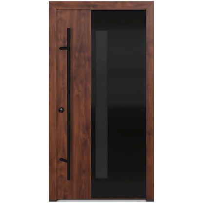 Alu-Steel Door - DL66 Black Edition