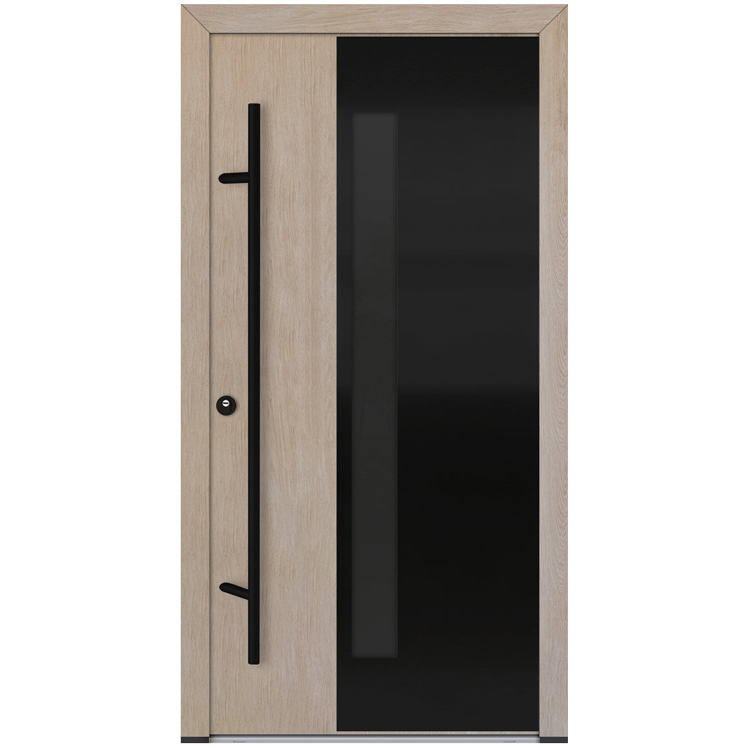 Alu-Steel Door - DL66 Black Edition