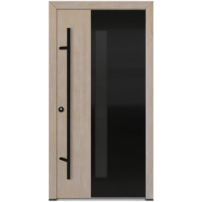 Alu-Steel Door - DL66 Black Edition