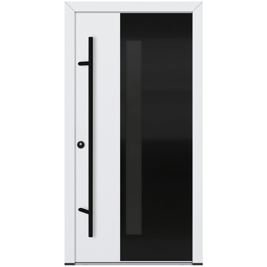 Alu-Steel Door - DL66 Black Edition