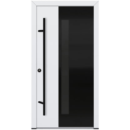 Alu-Steel Door - DL66 Black Edition
