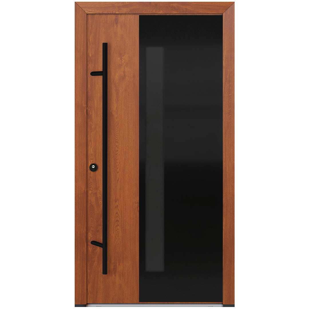 Alu-Steel Door - DL66 Black Edition