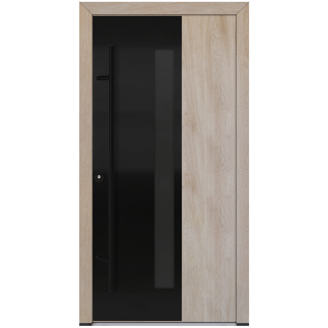 Alu-Steel Door - DL67 Black Edition