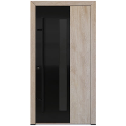 Alu-Steel Door - DL67 Black Edition