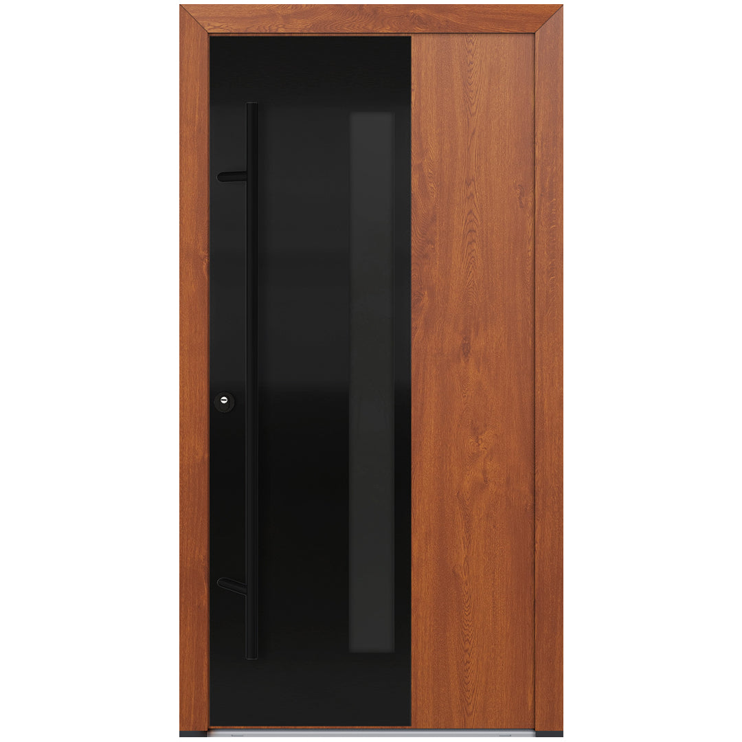 Alu-Steel Door - DL67 Black Edition