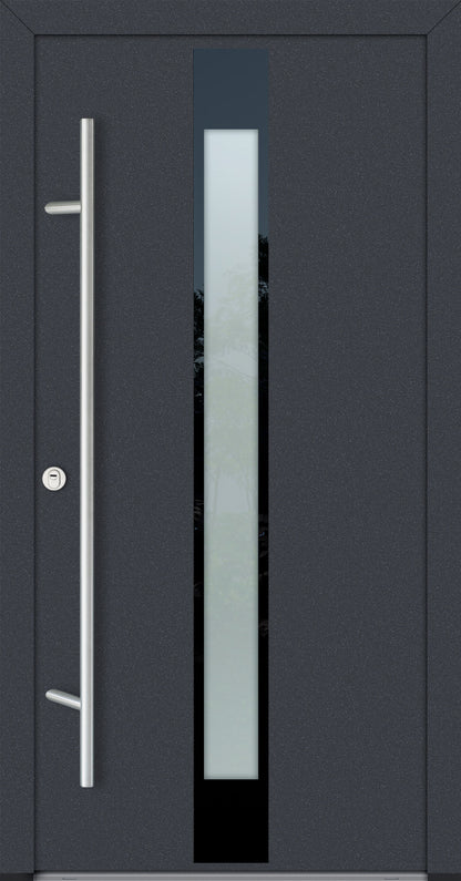 Alu-Steel Door - DLG 05