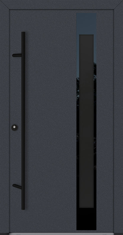 Alu-Steel Door - DLG 04B - Black Edition