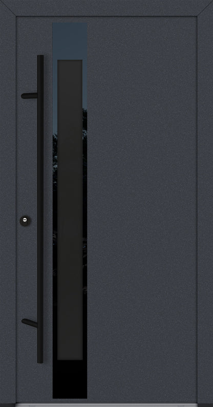 Alu-Steel Door - DLG 14B - Black Edition